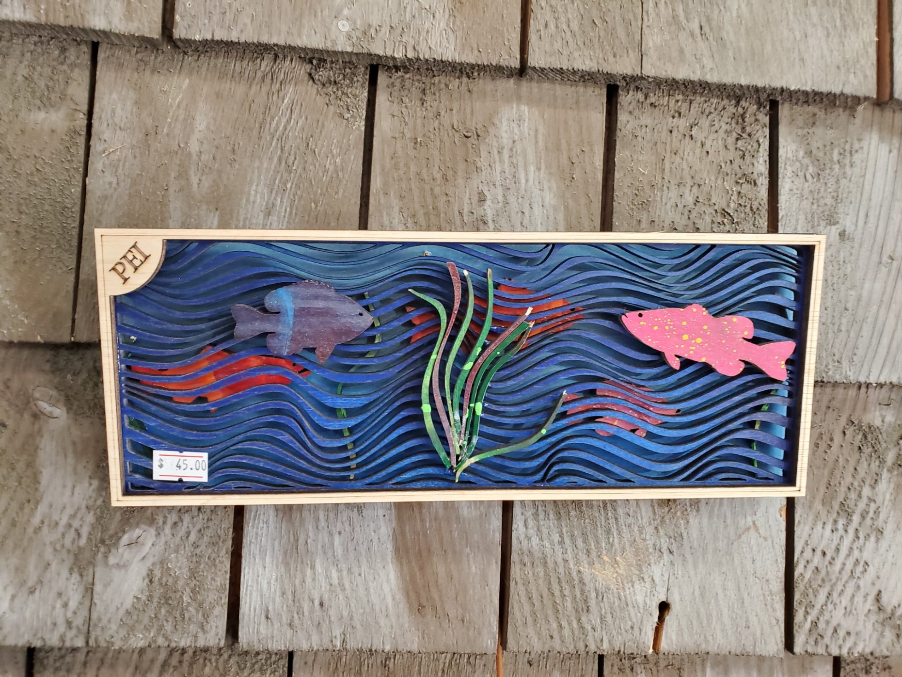 Fish in the waves (C)